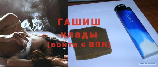 прущие грибы Каменногорск
