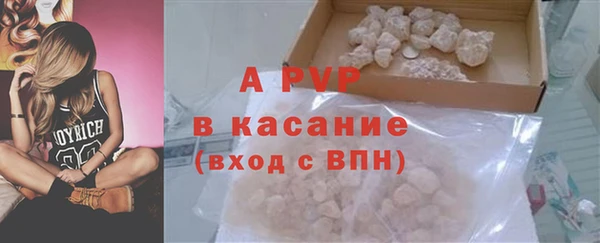 прущие грибы Каменногорск