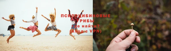 бошки Каменка