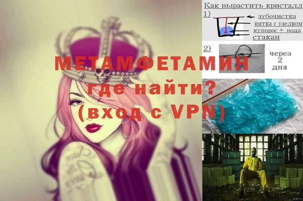 прущие грибы Каменногорск