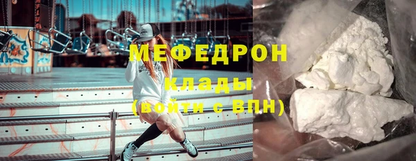 шишки Карпинск