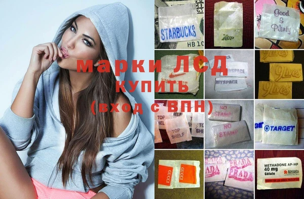 шишки Карпинск