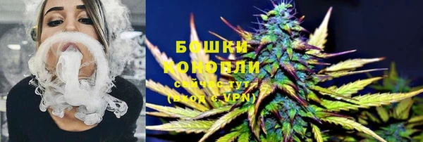 шишки Карпинск