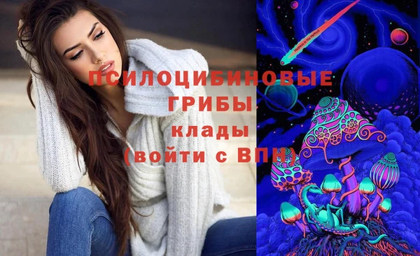 дживик Карталы