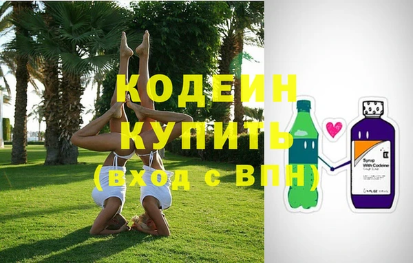 прущие грибы Каменногорск