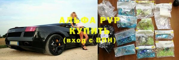 шишки Карпинск