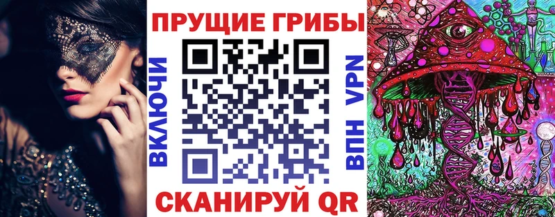 Купить где  Вичуга  Псилоцибиновые грибы Cubensis 